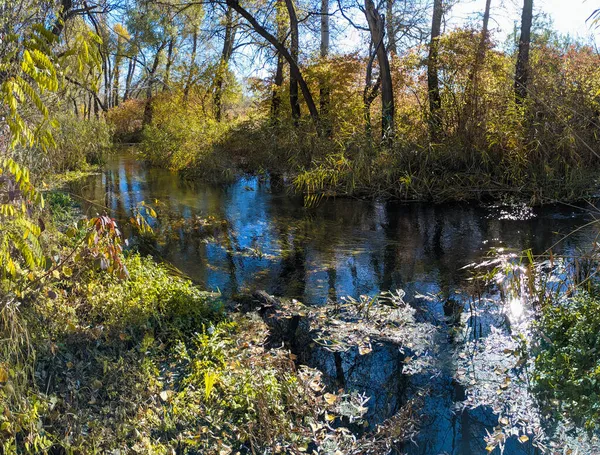 River Bank Autumn Clear Water River Yellow Leaves Water Reflection — Stock Photo, Image