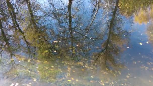 Margem Rio Outono Água Limpa Rio Folhas Amarelas Água Reflexão — Vídeo de Stock