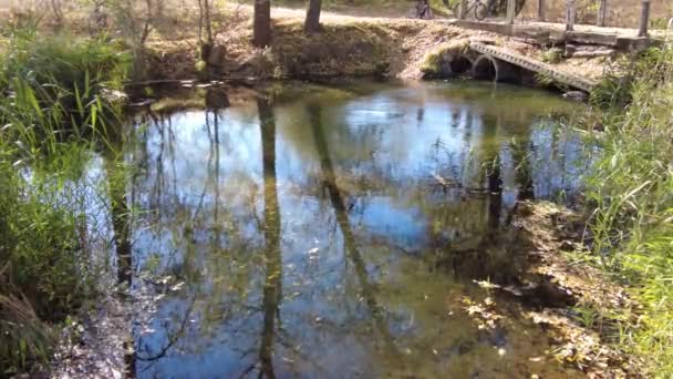Břeh Řeky Podzim Čistá Voda Řece Žluté Listí Vodě Odraz — Stock video