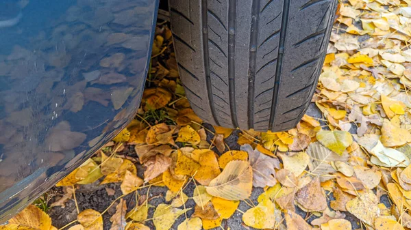 Jesienny Bieżnik Opony Opony Jesienne Liście Żółte Liście Koło Samochodu — Zdjęcie stockowe