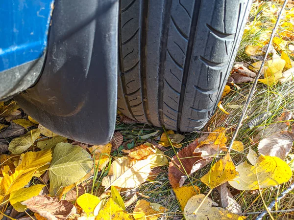 Autumn Tire Tread Tires Autumn Leaves Yellow Leaves Car Wheel — Stock Photo, Image