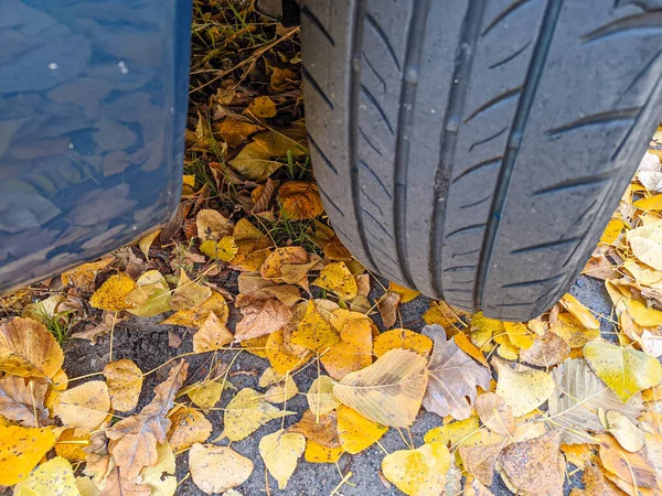 秋のタイヤトレッド タイヤと紅葉 黄色の葉と車の車輪 — ストック写真