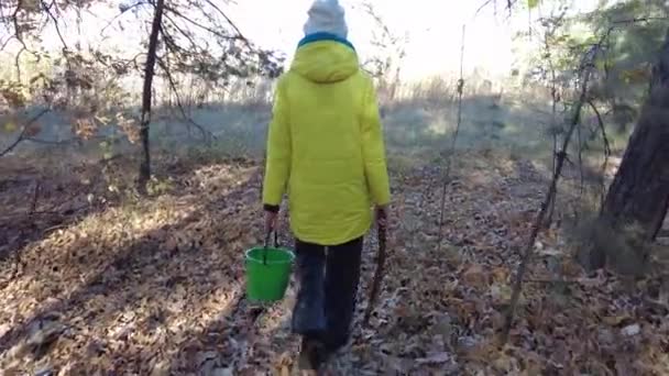 Hledejte Houby Lese Děti Chodí Přírodě Houbový Sběr Projdi Lesem — Stock video
