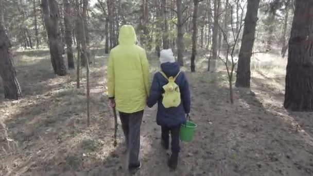 Szukaj Grzybów Lesie Dzieci Chodzą Naturze Zbieranie Grzybów Spacer Lesie — Wideo stockowe