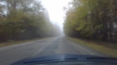 Şoför araba kullanıyor. Kötü bir yolda araba kullanmak. Camı kır. Tehlikeli bir yol. Sisteki arabanın kontrolü. Sis ve yol. Islak bir yolda araba.. 