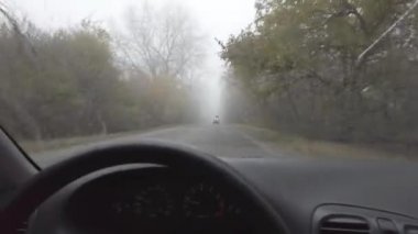 Şoför araba kullanıyor. Kötü bir yolda araba kullanmak. Camı kır. Tehlikeli bir yol. Sisteki arabanın kontrolü. Sis ve yol. Islak bir yolda araba.. 