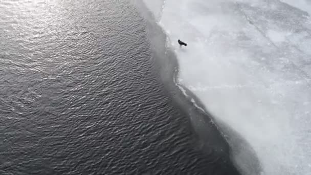 暗い水と白い氷 冷たい氷だ 解凍したパッチ 凍った川 冬に川のある風景 — ストック動画