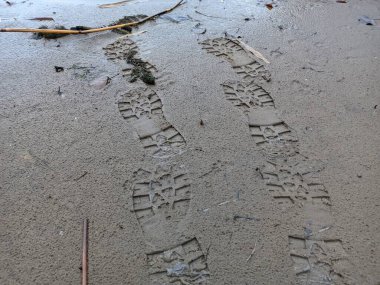 Çimenlere çiy damlaları, çimenlere büyük damlalar. Yağmur üstüne çimen. Erimiş buz yeşil çimen değildir.