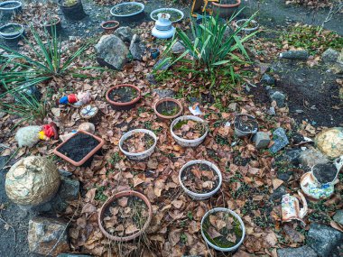 Bahçede ev yapımı çiçek tarhı