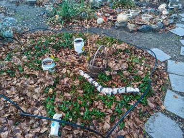 Bahçede ev yapımı çiçek tarhı