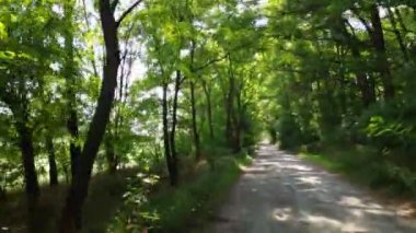 Arabanın içinde. Şoför direksiyonda. Araba kullanmak. Yolculuk. Kötü yollar. Arabayla. Direksiyon ve gösterge paneli. tekerlekler ve motorlar. 
