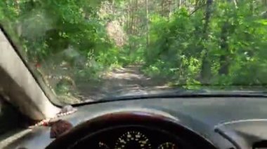 Arabanın içinde. Şoför direksiyonda. Araba kullanmak. Yolculuk. Kötü yollar. Arabayla. Direksiyon ve gösterge paneli. tekerlekler ve motorlar. 