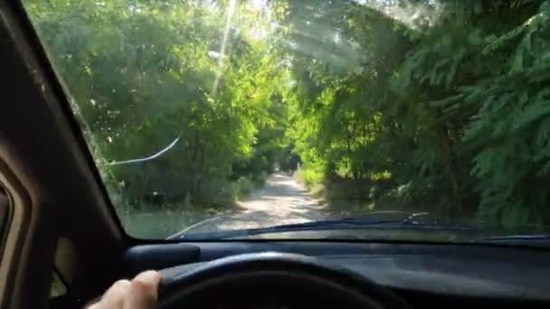 Всередині Машини Водій Кермом Водити Машину Подорож Погані Дороги Машині — стокове відео