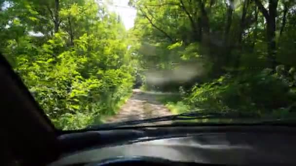 Dentro Del Coche Conductor Detrás Del Volante Conducir Coche Viaje — Vídeo de stock