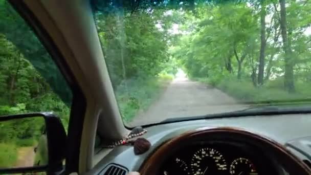 Dentro Carro Motorista Atrás Volante Conduz Carro Viagem Estradas Más — Vídeo de Stock