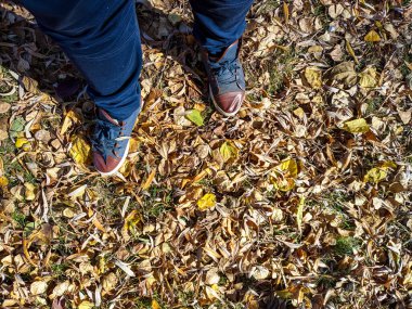 Erkek ayakkabısı. Çizmeler. Spor ayakkabılar. Ayaklar yolda yürür. Gezinti.