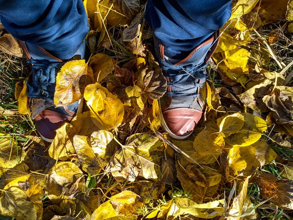 Erkek ayakkabısı. Çizmeler. Spor ayakkabılar. Ayaklar yolda yürür. Gezinti.