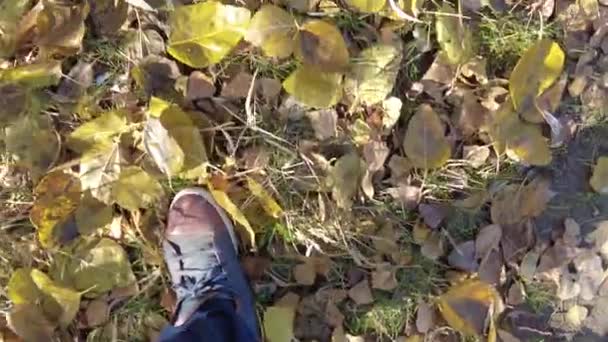 Calzado Hombre Botas Zapatillas Pies Caminan Largo Carretera Dar Paseo — Vídeos de Stock