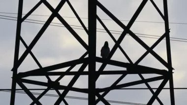 Güç iletim hatları. Elektrik direkleri ve telleri. Günbatımında yüksek voltajlı elektrik hatları, yüksek voltajlı elektrik iletim kulesi. Yüksek voltaj kuleleri uzak mesafeden enerji sağlıyor..