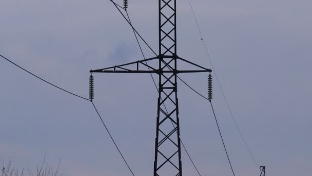 送電線だ 電柱とワイヤーです 日没時の高圧送電線高電圧送電塔 高電圧タワーは長距離にわたって電源を供給します — ストック動画