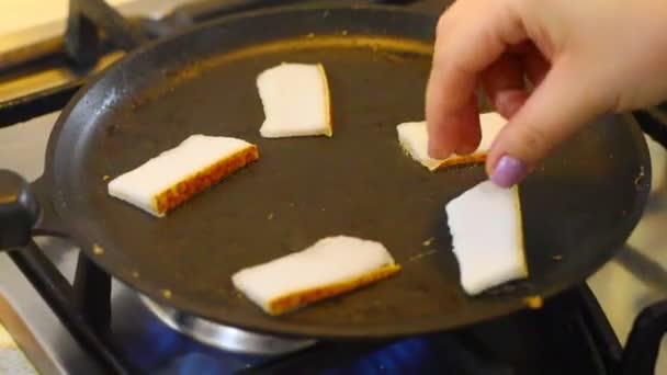 Slices Bacon White Lard Chunks Salted Bacon Dark Background Healthy — Vídeo de Stock