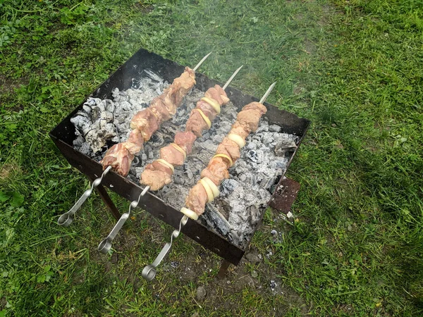 Μπάρμπεκιου Στη Σχάρα Κρέας Σουβλάκι Μαγείρεμα Κρέας Στην Πυρκαγιά Σκίερς — Φωτογραφία Αρχείου