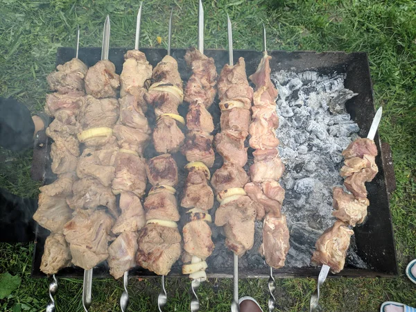 Barbecue Grill Meat Skewer Cooking Meat Fire Skewers Meat Outdoors — Foto Stock