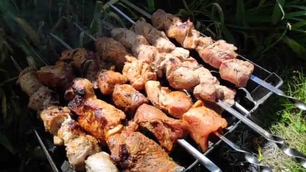 Barbecue Grill Meat Skewer Cooking Meat Fire Skewers Meat Outdoors — Stockvideo