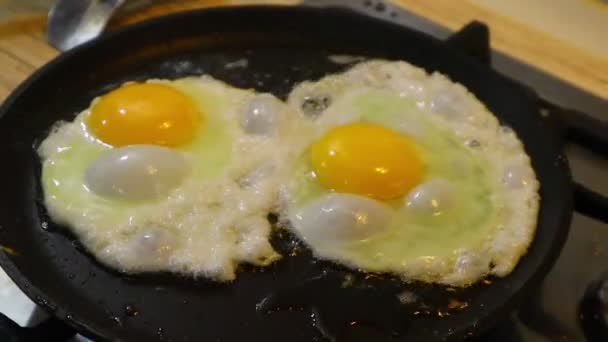 Omelette Cooking Eggs Fried Eggs Fried Eggs Eggs Fried Pan — Stok Video