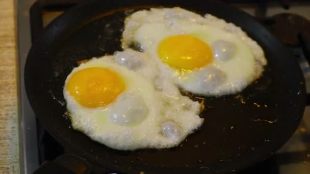 Omelette Cooking Eggs Fried Eggs Fried Eggs Eggs Fried Pan — Video