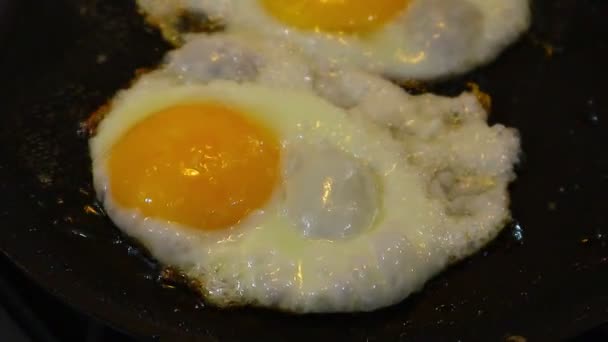 Tortilla Cocinar Huevos Huevos Fritos Huevos Fritos Huevos Fritos Una — Vídeo de stock