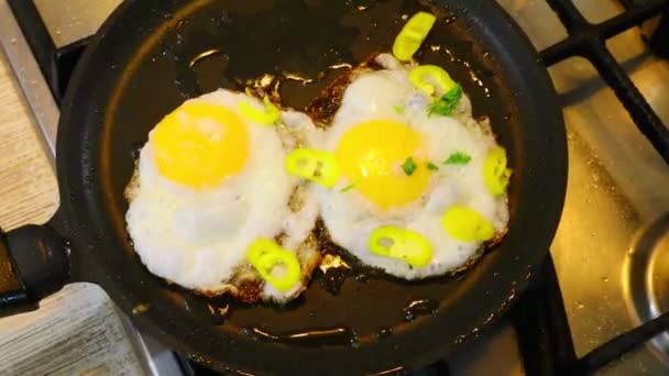Омелет Приготування Яєць Смажені Яйця Смажені Яєць Обсмажених Сковороді Гаряча — стокове відео