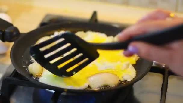 Omelette Cooking Eggs Fried Eggs Fried Eggs Eggs Fried Pan — Vídeos de Stock