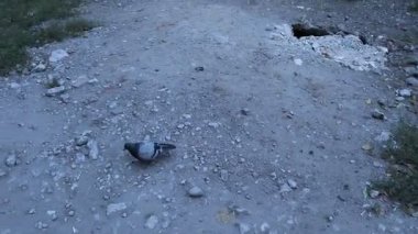 Eski apartman. Yaşlı bayanın dış görünüşü. yıkılan bina. Kırık mimari. Sovyet evleri. Sovyet mimarisi.