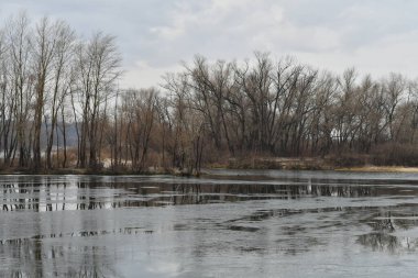 Suyla birlikte kış manzarası. Panorama Gölü 'nün önünde, bulutlu gökyüzünün ve etrafındaki ağaçların ayna etkisi. Sakin su ve ağaçların ve gökyüzünün yansımaları. Saf kuzey doğası..