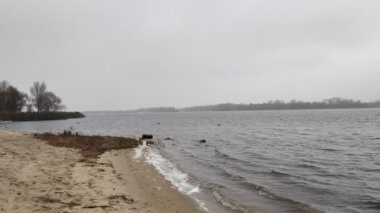 Suyla birlikte kış manzarası. Panorama Gölü 'nün önünde, bulutlu gökyüzünün ve etrafındaki ağaçların ayna etkisi. Sakin su ve ağaçların ve gökyüzünün yansımaları. Saf kuzey doğası..