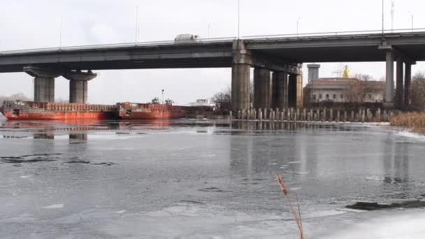 Зимовий Пейзаж Водою Перед Озером Панорама Відбиває Хмарне Небо Дерева — стокове відео