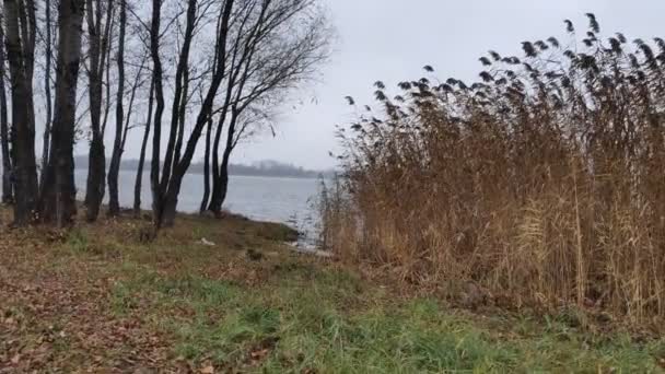 Зимний Пейзаж Водой Перед Озером Панорама Зеркальное Отражение Облачного Неба — стоковое видео