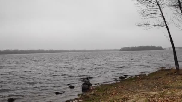 Зимний Пейзаж Водой Перед Озером Панорама Зеркальное Отражение Облачного Неба — стоковое видео