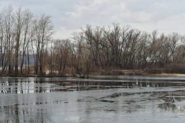 Suyla birlikte kış manzarası. Panorama Gölü 'nün önünde, bulutlu gökyüzünün ve etrafındaki ağaçların ayna etkisi. Sakin su ve ağaçların ve gökyüzünün yansımaları. Saf kuzey doğası..