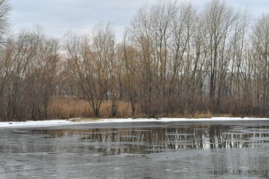 Suyla birlikte kış manzarası. Panorama Gölü 'nün önünde, bulutlu gökyüzünün ve etrafındaki ağaçların ayna etkisi. Sakin su ve ağaçların ve gökyüzünün yansımaları. Saf kuzey doğası..