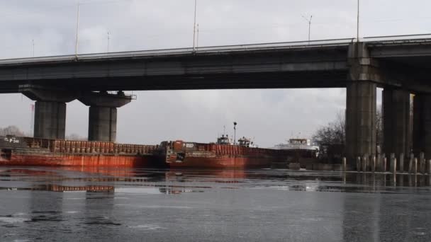 Зимовий Пейзаж Водою Перед Озером Панорама Відбиває Хмарне Небо Дерева — стокове відео