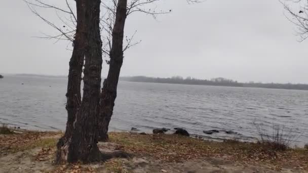 Зимний Пейзаж Водой Перед Озером Панорама Зеркальное Отражение Облачного Неба — стоковое видео