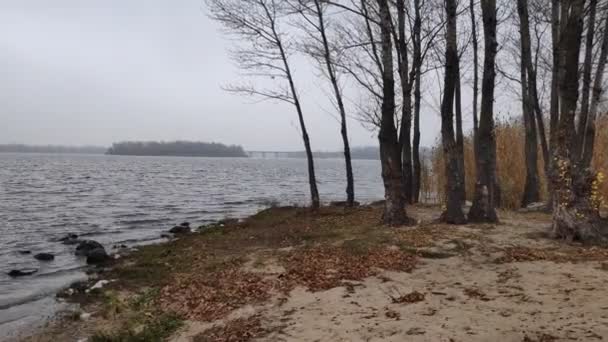 Téli Táj Vízzel Panoráma Előtt Felhős Körülötte Lévő Fák Tükörhatása — Stock videók