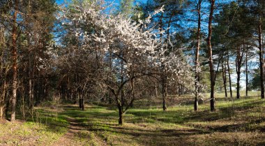 Güzel manzara manzarası. Doğal duvar kağıdı. Suda yansıması olan çarpıcı bir manzara. Doğa kavramının güzelliği. Seyahat ve tatil duvar kâğıdı, ekran koruyucu, güzel ve vahşi bir arka plan..
