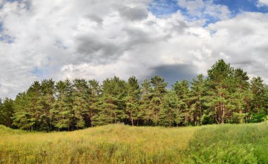 Güzel manzara manzarası. Doğal duvar kağıdı. Suda yansıması olan çarpıcı bir manzara. Doğa kavramının güzelliği. Seyahat ve tatil duvar kâğıdı, ekran koruyucu, güzel ve vahşi bir arka plan..
