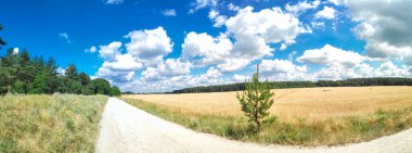 Güzel manzara manzarası. Doğal duvar kağıdı. Suda yansıması olan çarpıcı bir manzara. Doğa kavramının güzelliği. Seyahat ve tatil duvar kâğıdı, ekran koruyucu, güzel ve vahşi bir arka plan..