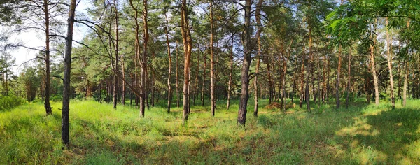 Prachtig Landschap Panorama Natuurlijk Behang Prachtig Panorama Met Reflectie Het — Stockfoto