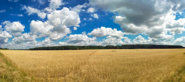 Panorama Paisagem Bonita Papel Parede Natural Panorama Deslumbrante Com Reflexão — Fotografia de Stock