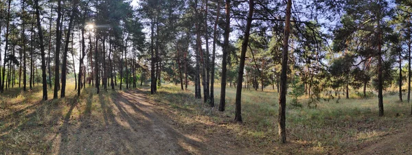 Prachtig Landschap Panorama Natuurlijk Behang Prachtig Panorama Met Reflectie Het — Stockfoto